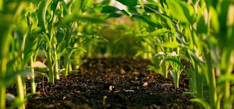 Prestavert – Bureau d'Etudes