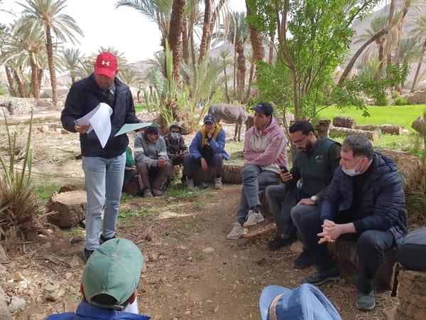 Accompagnement et formation des coopératives de services – Culture du palmier dattier